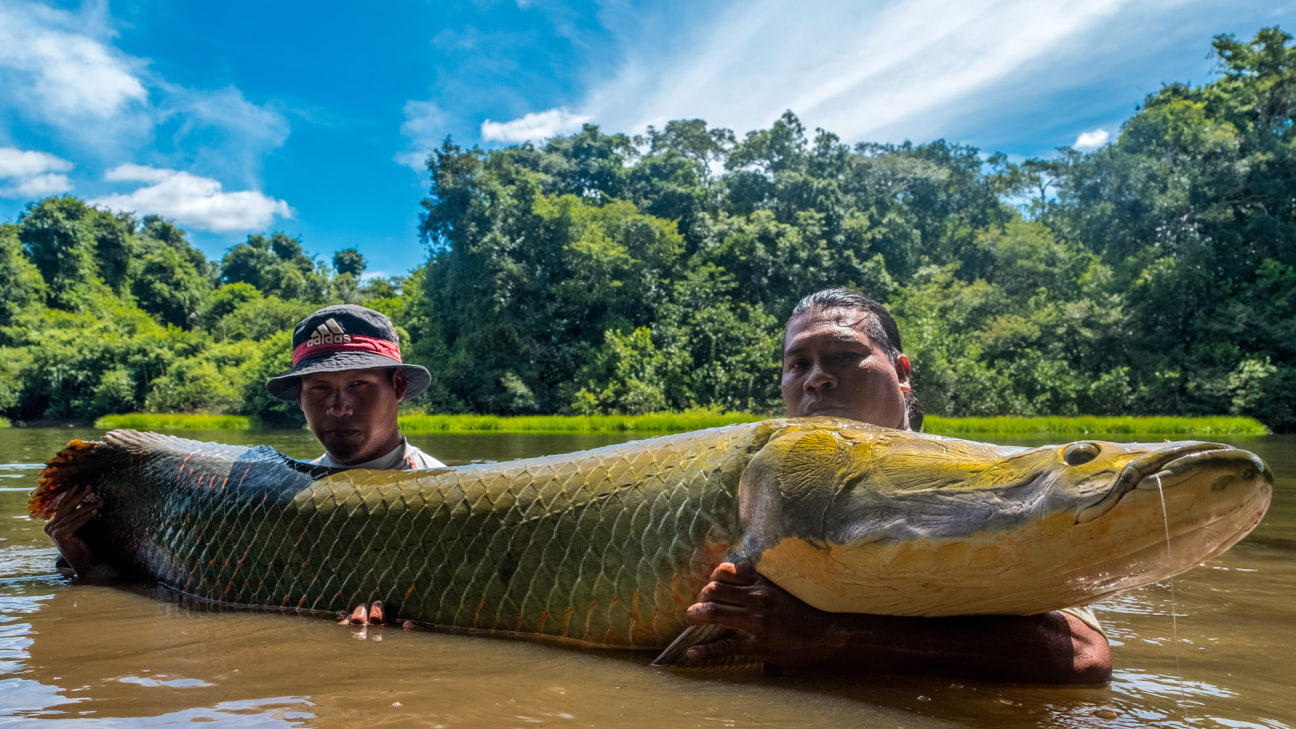 Guyana Fishing Tour -  Adventures